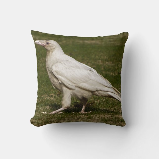Rare White Raven Wildlife Photography Throw Pillow (Front)