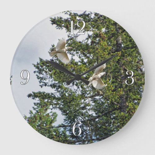 Rare White Ravens Wildlife Photography Large Clock