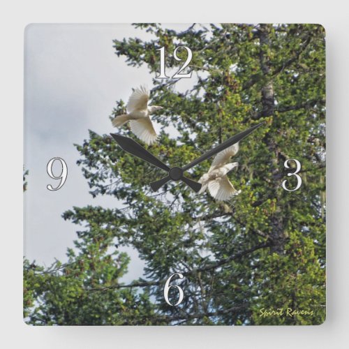 Rare White Ravens Wildlife Photography Square Wall Clock
