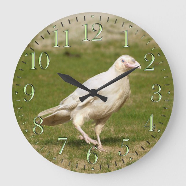 Rare White (Spirit) Raven and Grass Wall Clock (Front)