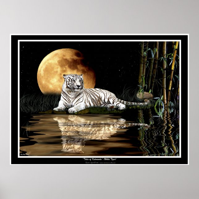 RARE WHITE TIGER & MOON Art Prints & Posters (Front)