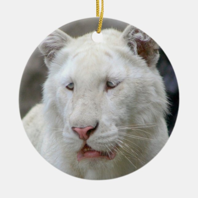 Rare White Tiger Ornament (Front)