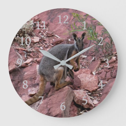 Rare Yellow_footed Rock Wallaby and Baby Australia Large Clock