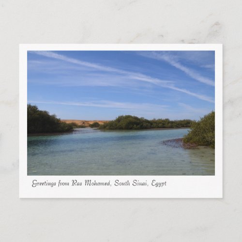 Ras Mohamed Nature Preserve Park Sinai Egypt Postcard