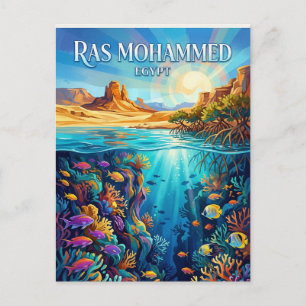 Ras Mohammed National Park Egypt Postcard