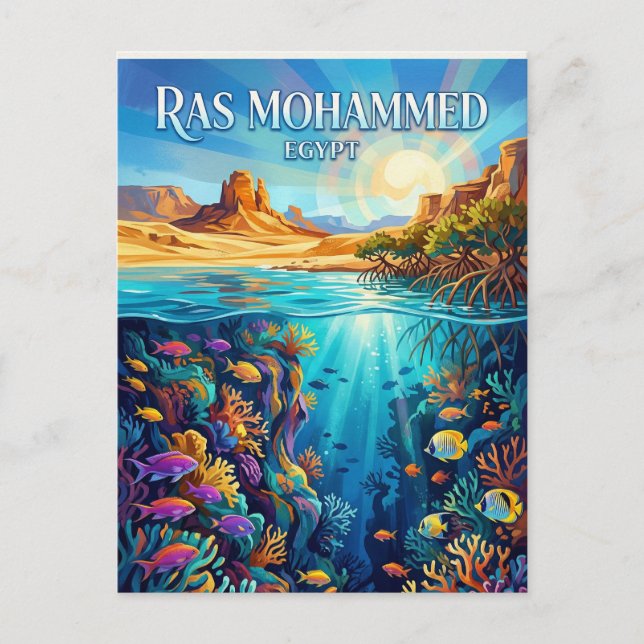 Ras Mohammed National Park Egypt Postcard (Front)