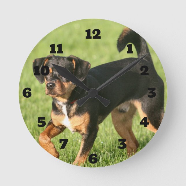 Rascal Round Clock (Front)