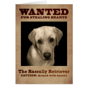 Rascally Retriever, aka Yellow Lab Cards
