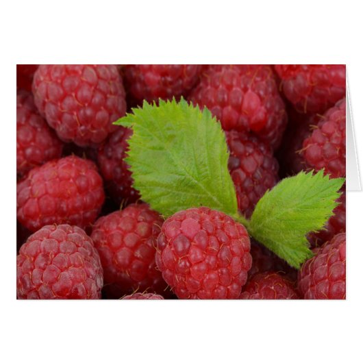 Raspberries Cards (Front Horizontal)