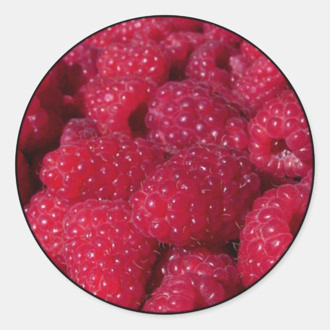Raspberries Classic Round Sticker (Front)
