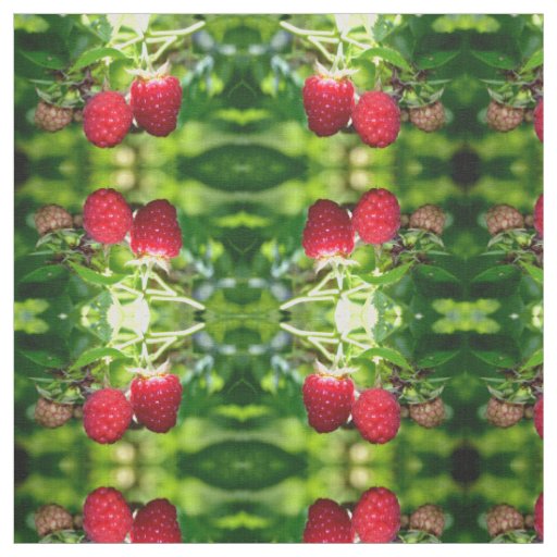 Raspberries Fabric