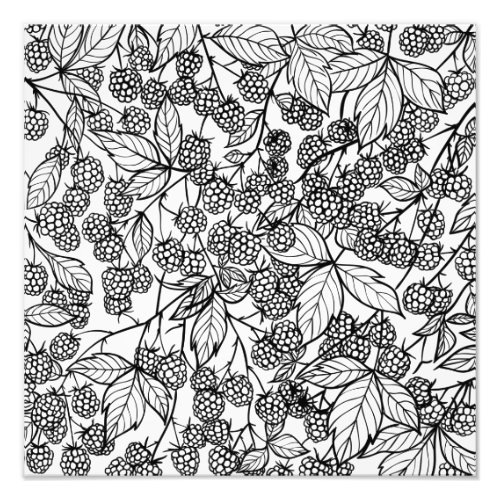 Raspberries hand drawn pattern photo print