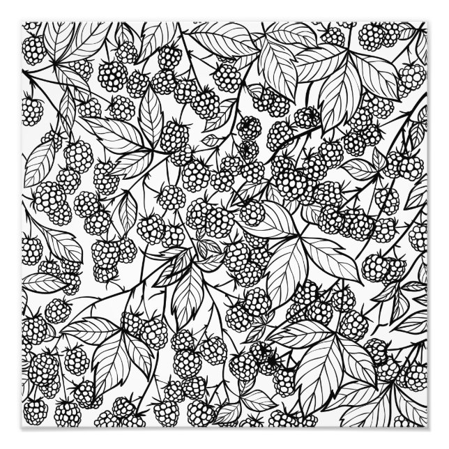 Raspberries hand drawn pattern photo print (Front)