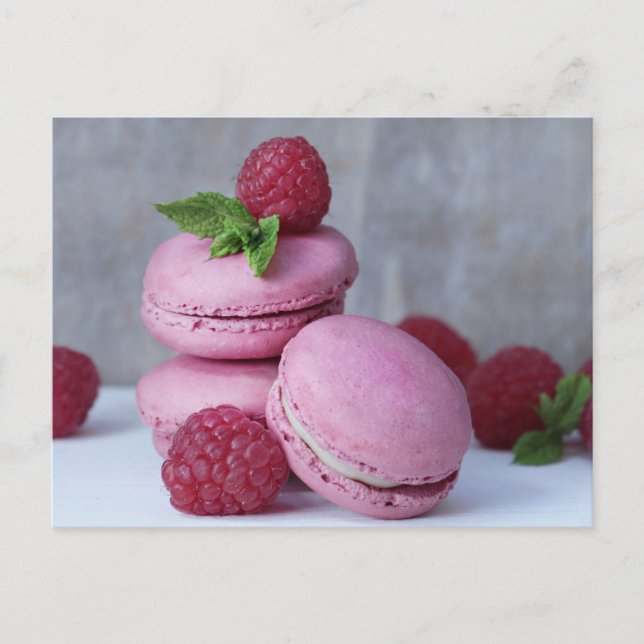 Raspberries Macarons Postcard (Front)