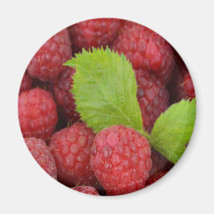 Raspberries Magnet