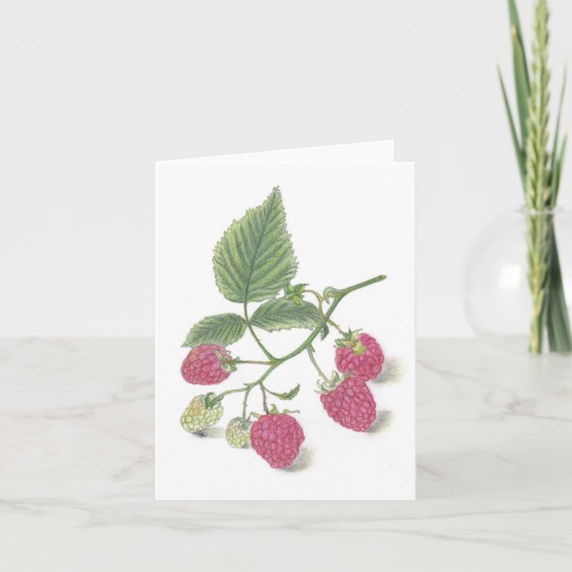 Raspberries Note Card (Front)