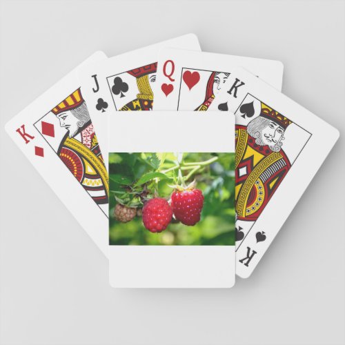 Raspberries Playing Cards