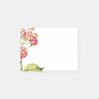 Raspberries Post-it Notes