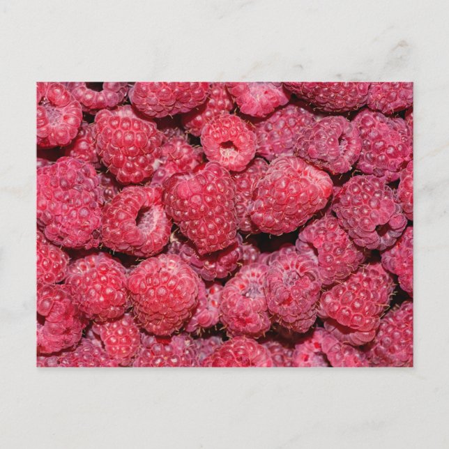 Raspberries Postcard (Front)