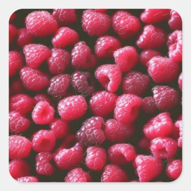 Raspberries Square Sticker (Front)