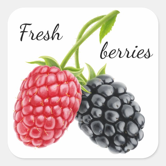 Raspberry and blackberry square sticker (Front)
