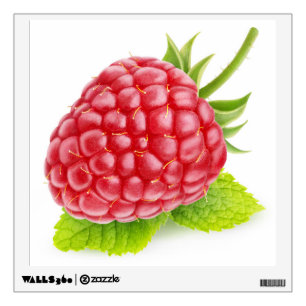 Raspberry and mint wall decal