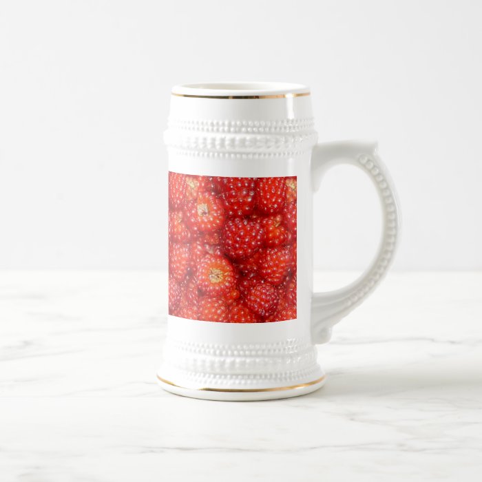 RASPBERRY BEER MUG