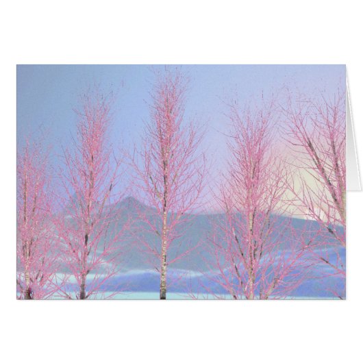 Raspberry Creme Birch Cards (Front Horizontal)
