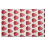 Raspberry Fabric