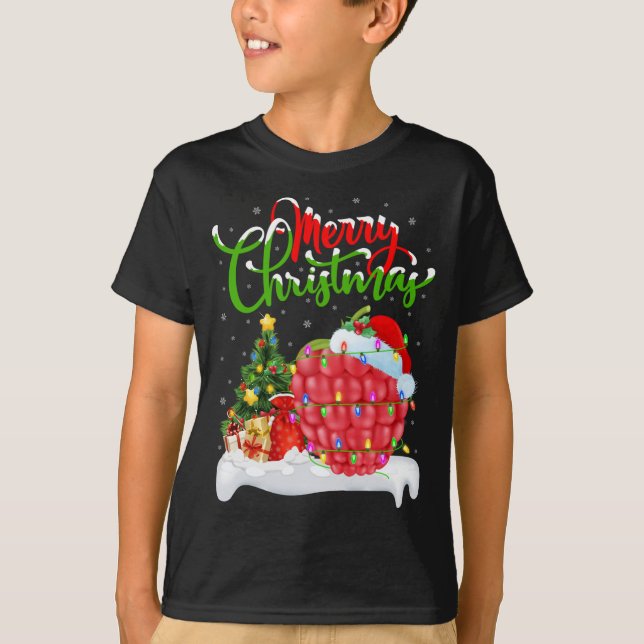 Raspberry Lover Xmas Lighting Santa Raspberry Chri T-Shirt (Front)