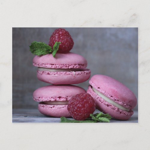 Raspberry Macarons Pink French Pastry Postcard