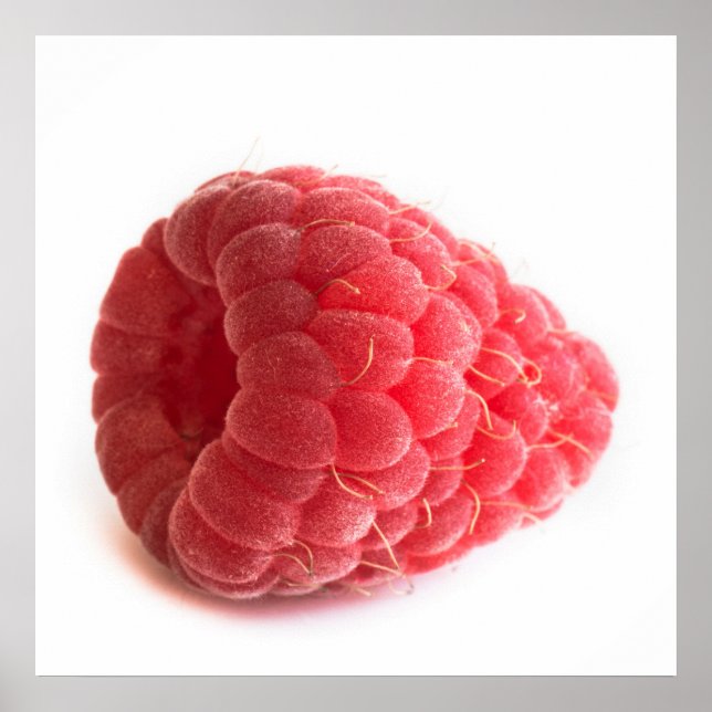 Raspberry Poster (Front)