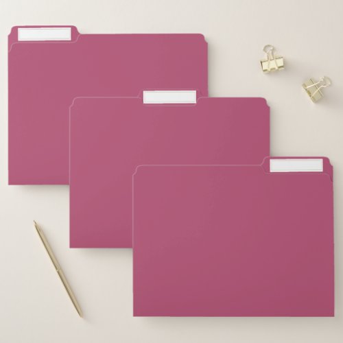 Raspberry Rose Solid Color File Folder