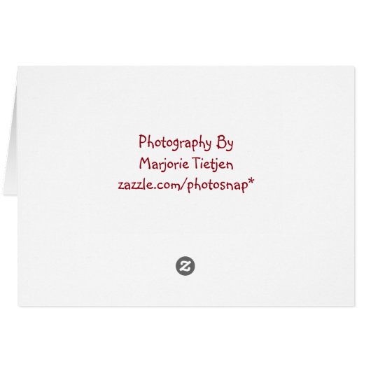 Raspberry Thank You Card (Back Horizontal)