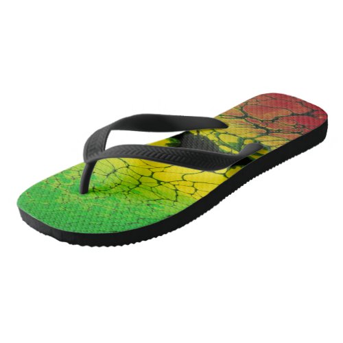 Rasta Color Inspired Flip Flops