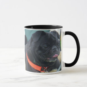 rasta pug mug