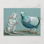 Rat And Pigeon Postcard at Zazzle