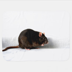 Rat bbi baby blanket