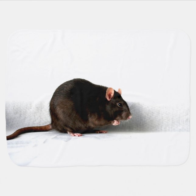 Rat bbi baby blanket (Horizontal)