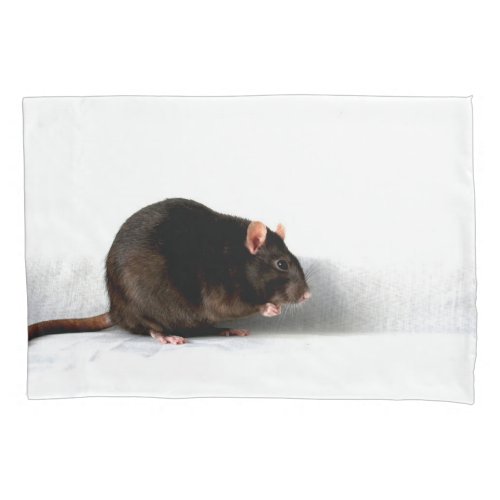 Rat bedpccn pillow case