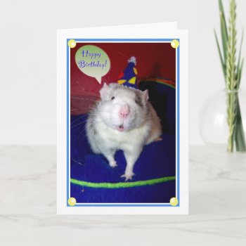 Rat Birthday Card by itsaratsworld at Zazzle