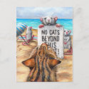 Rat Cat Beach 'No Cats' Sign Postcard