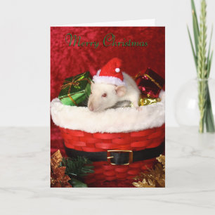Rat Christmas Card