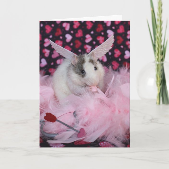 Rat Cupid Card Zazzle Com