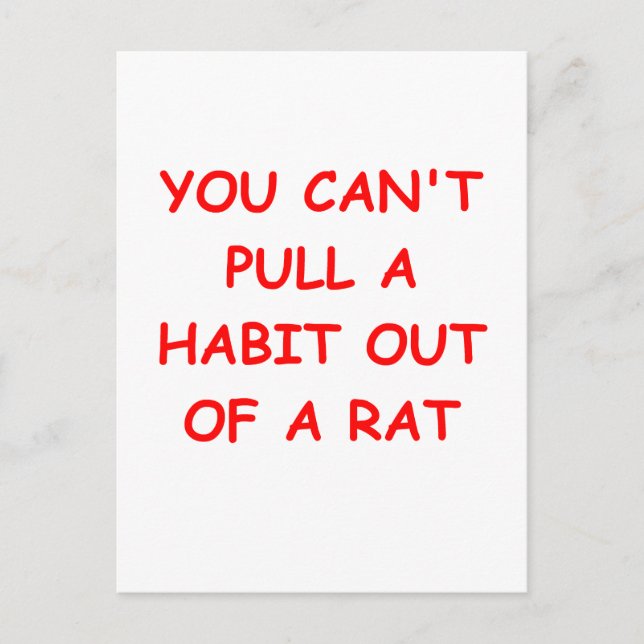 RAT divorce joke Postcard (Front)