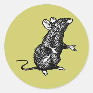 "rat face" - Customized Classic Round Sticker