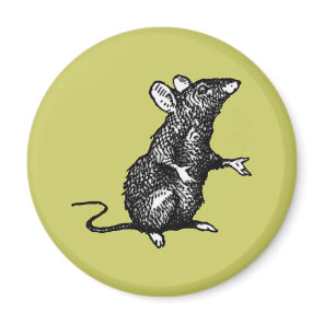 "rat face" - Customized Magnet