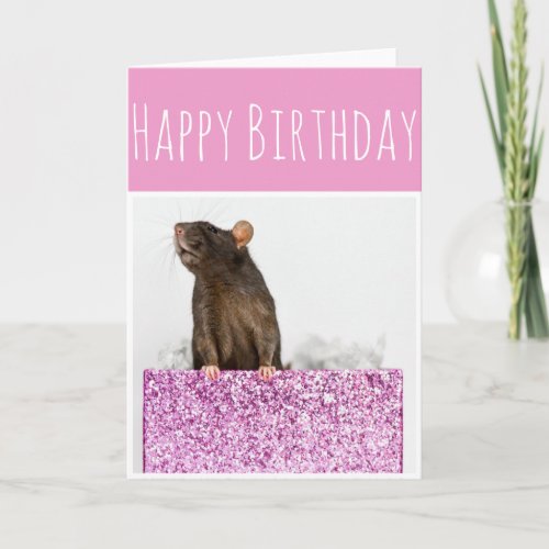 Rat Gift Birthday Card