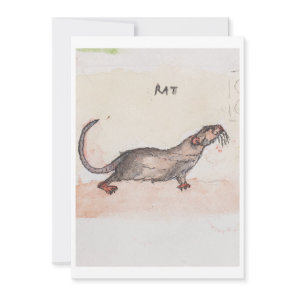 Rat Greeting Card
