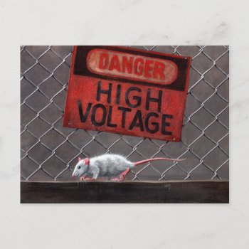 Rat High Voltage Sign On Fence Postcard by KMCoriginals at Zazzle